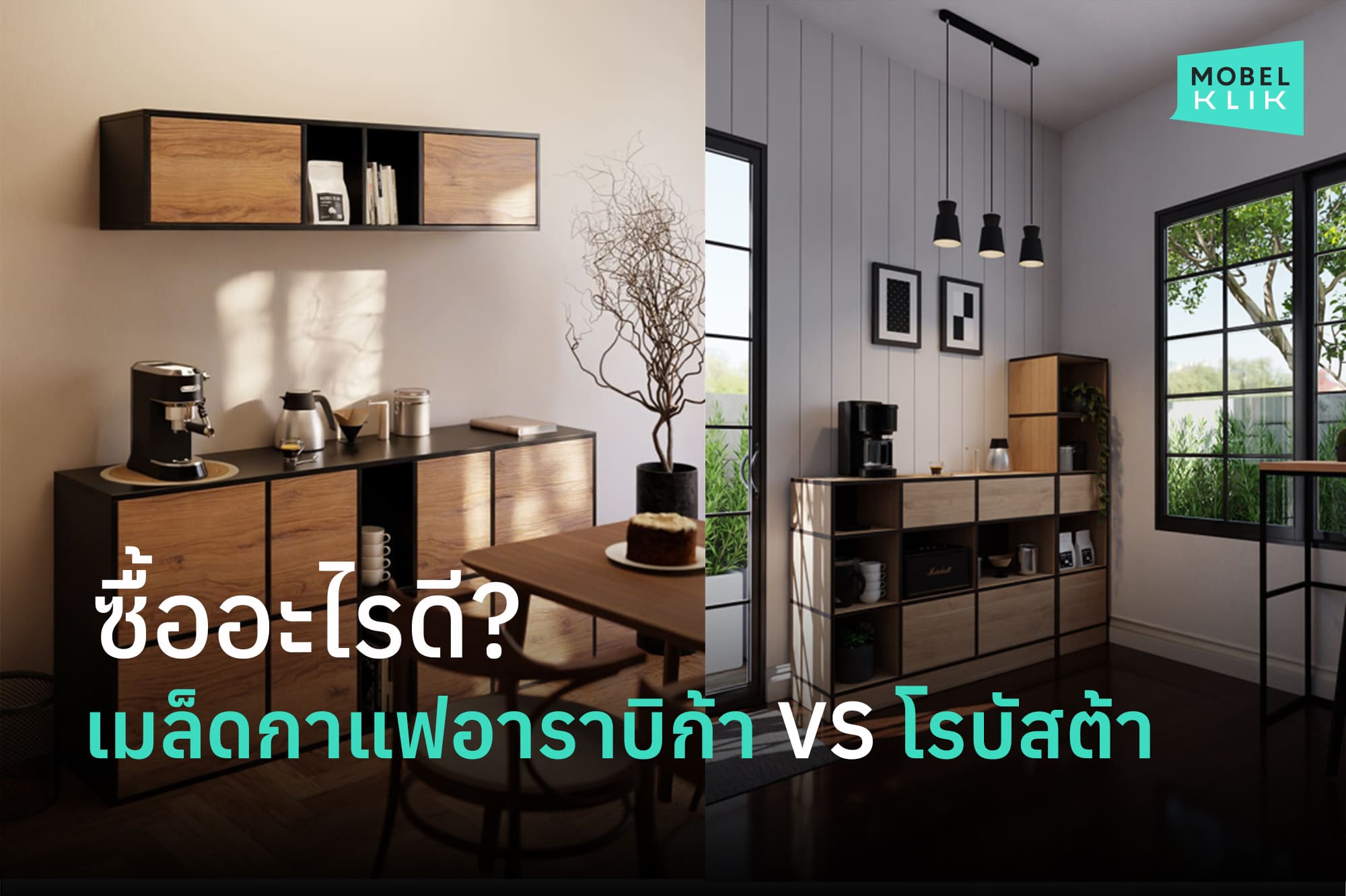 เมล็ดกาแฟอาราบิก้า VS โรบัสต้า